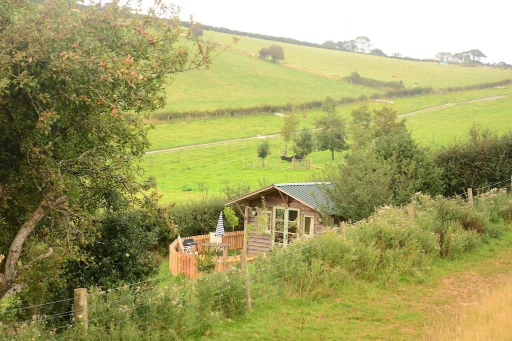 Woolcombe Cabin East Allington 外观 照片
