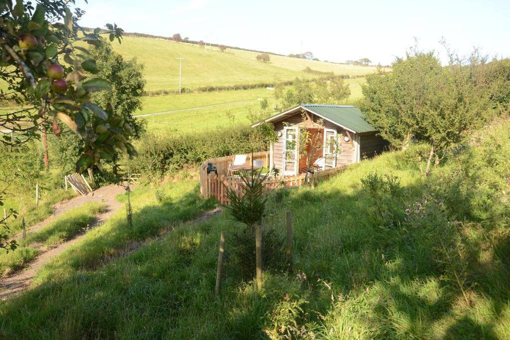 Woolcombe Cabin East Allington 外观 照片