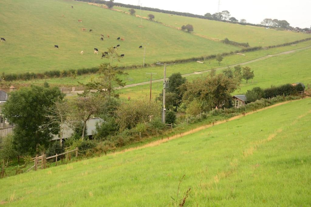 Woolcombe Cabin East Allington 外观 照片